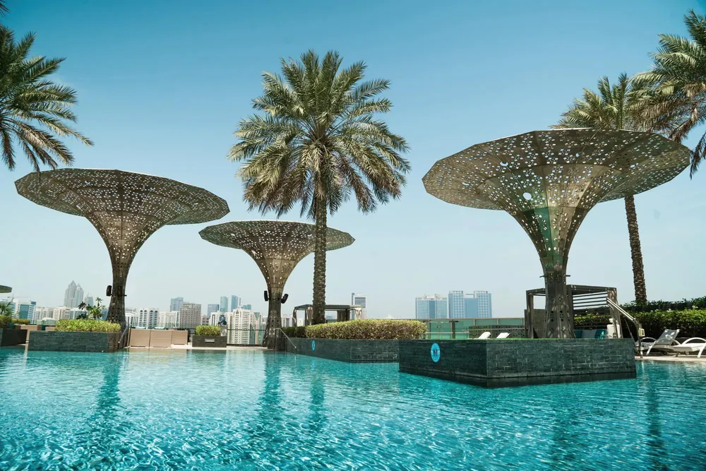 Pool among the palms